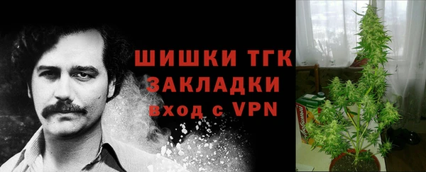 спиды Абаза