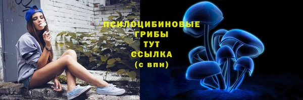 спиды Абаза