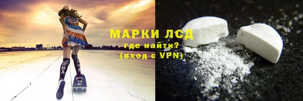 гашик Алексин