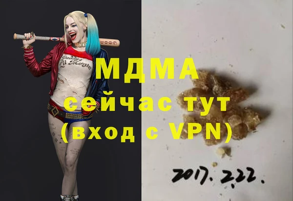 гашик Алексин