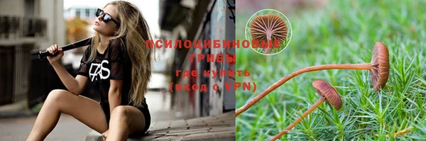 прущие крисы Карпинск