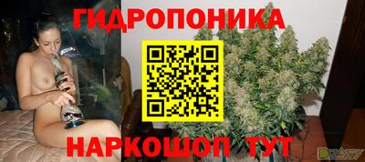 СК Волжск