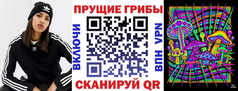 hydra маркетплейс  наркошоп  Грязи  Псилоцибиновые грибы MAGIC MUSHROOMS 