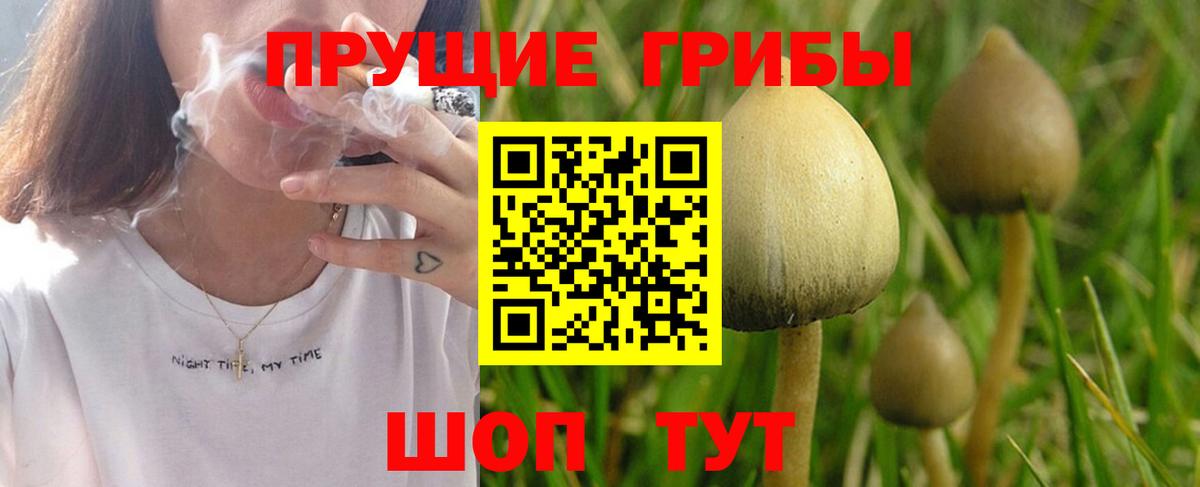 Псилоцибиновые грибы Psilocybe  Вход с VPN  дарнет шоп  Грязи 