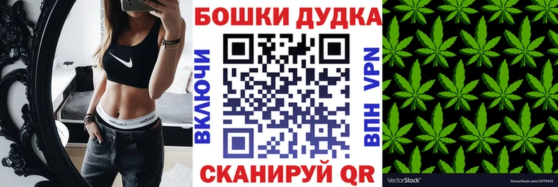 кракен зеркало  Грязи  Каннабис планчик  цена  